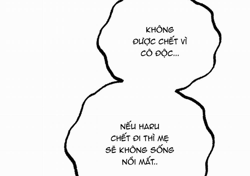 Những Chú Thỏ Của Hapypy 20 trang 248