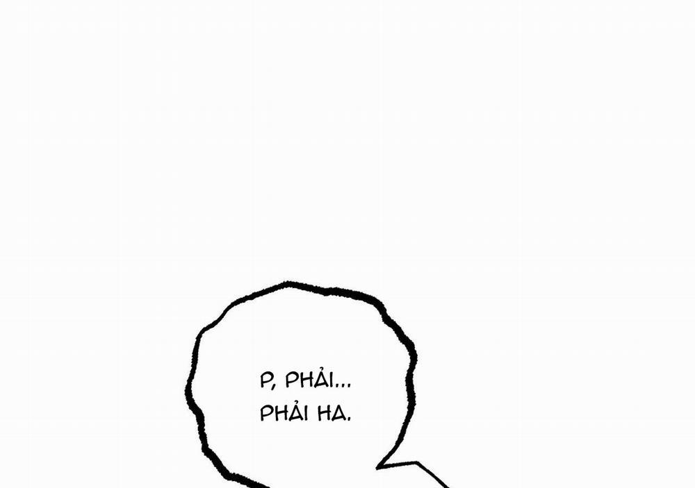 Những Chú Thỏ Của Hapypy 20 trang 40