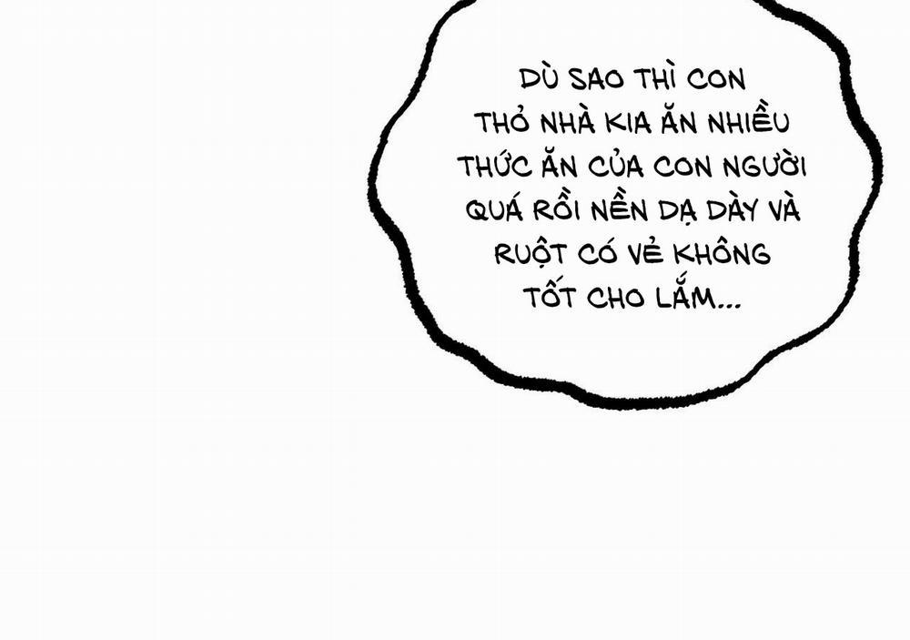 Những Chú Thỏ Của Hapypy 20 trang 43