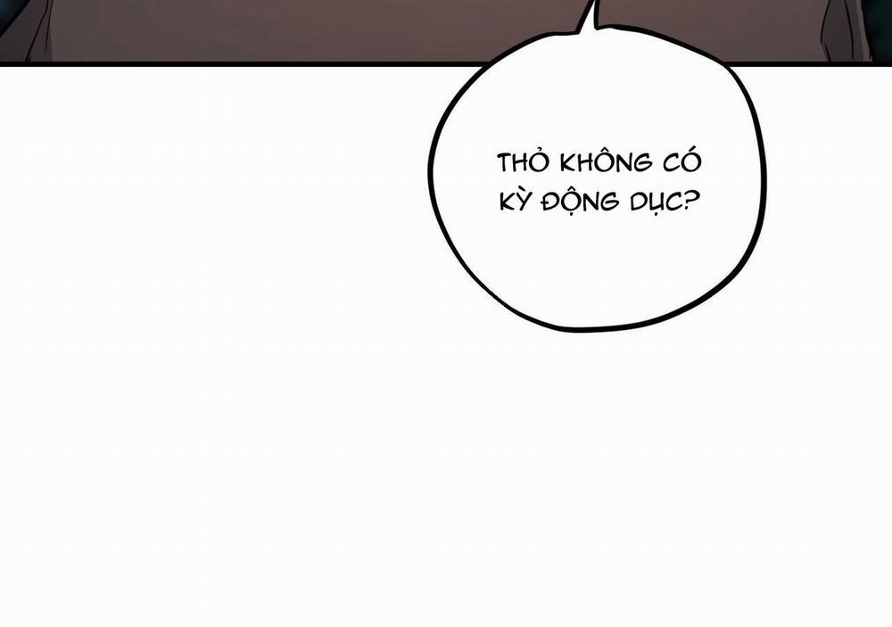 Những Chú Thỏ Của Hapypy 20 trang 49