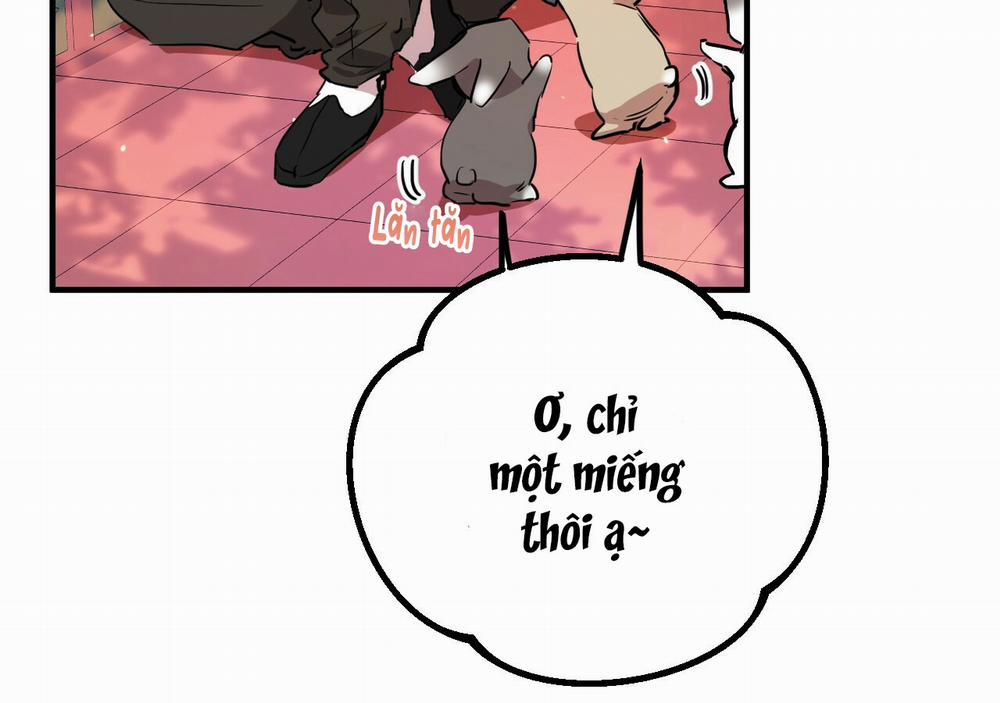 Những Chú Thỏ Của Hapypy 21 trang 11