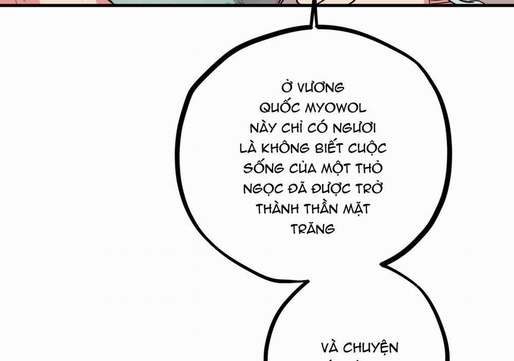 Những Chú Thỏ Của Hapypy 21 trang 157