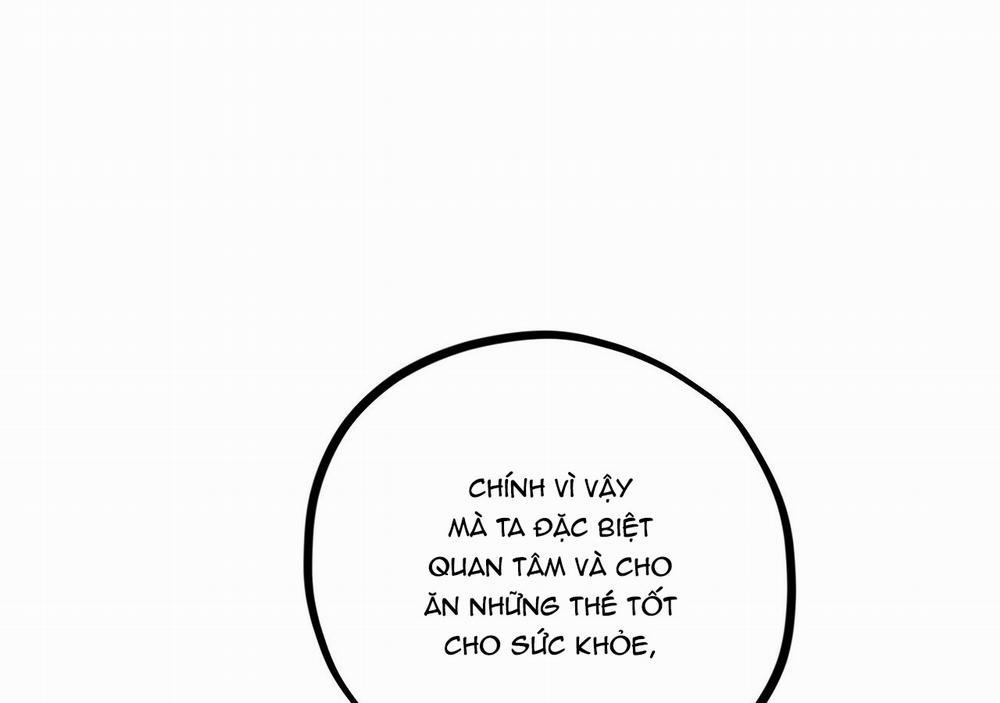 Những Chú Thỏ Của Hapypy 21 trang 159