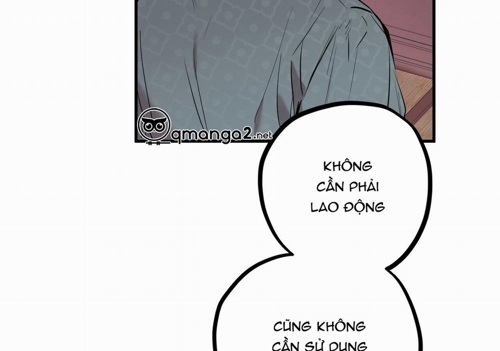 Những Chú Thỏ Của Hapypy 21 trang 162