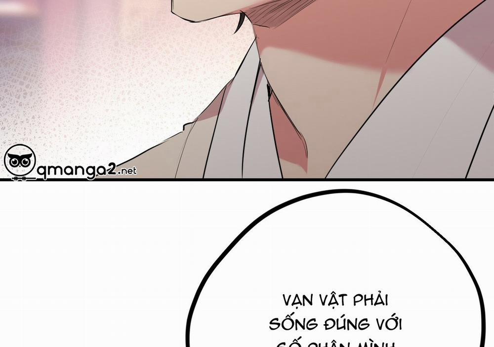 Những Chú Thỏ Của Hapypy 21 trang 181