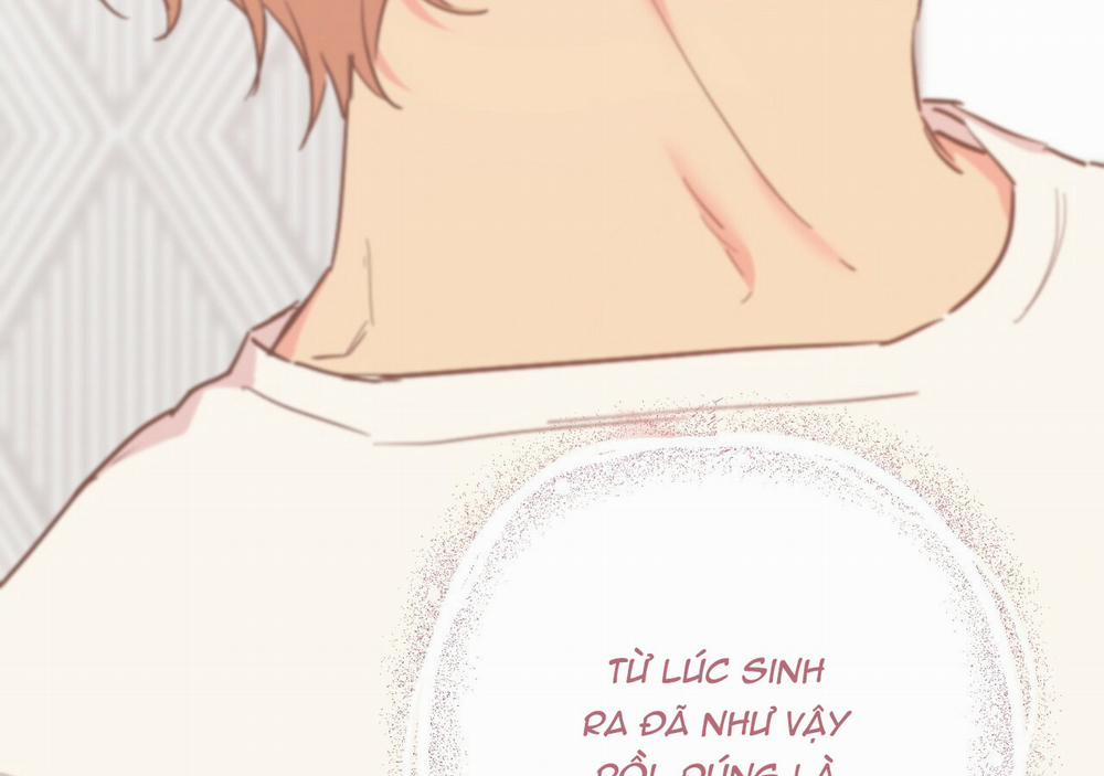 Những Chú Thỏ Của Hapypy 21 trang 188