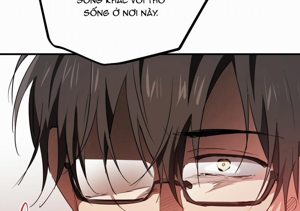 Những Chú Thỏ Của Hapypy 21 trang 210