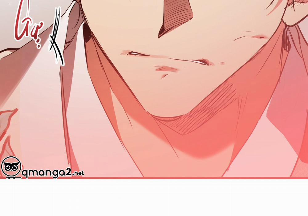 Những Chú Thỏ Của Hapypy 21 trang 211