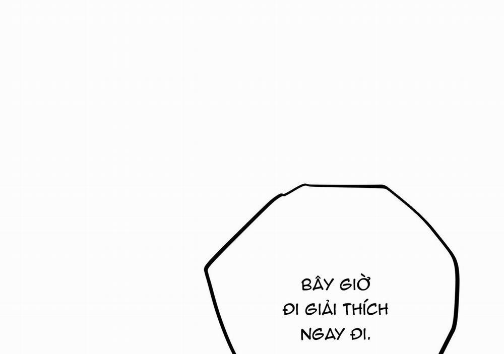 Những Chú Thỏ Của Hapypy 21 trang 212