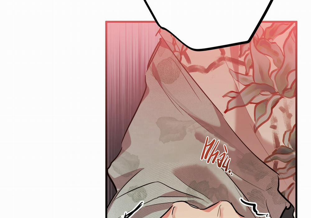 Những Chú Thỏ Của Hapypy 21 trang 213