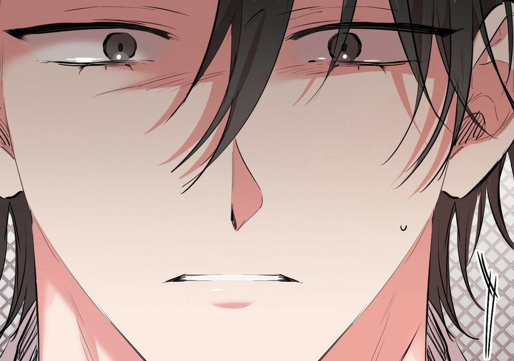 Những Chú Thỏ Của Hapypy 21 trang 238