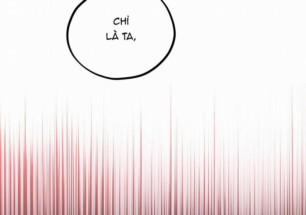 Những Chú Thỏ Của Hapypy 21 trang 242