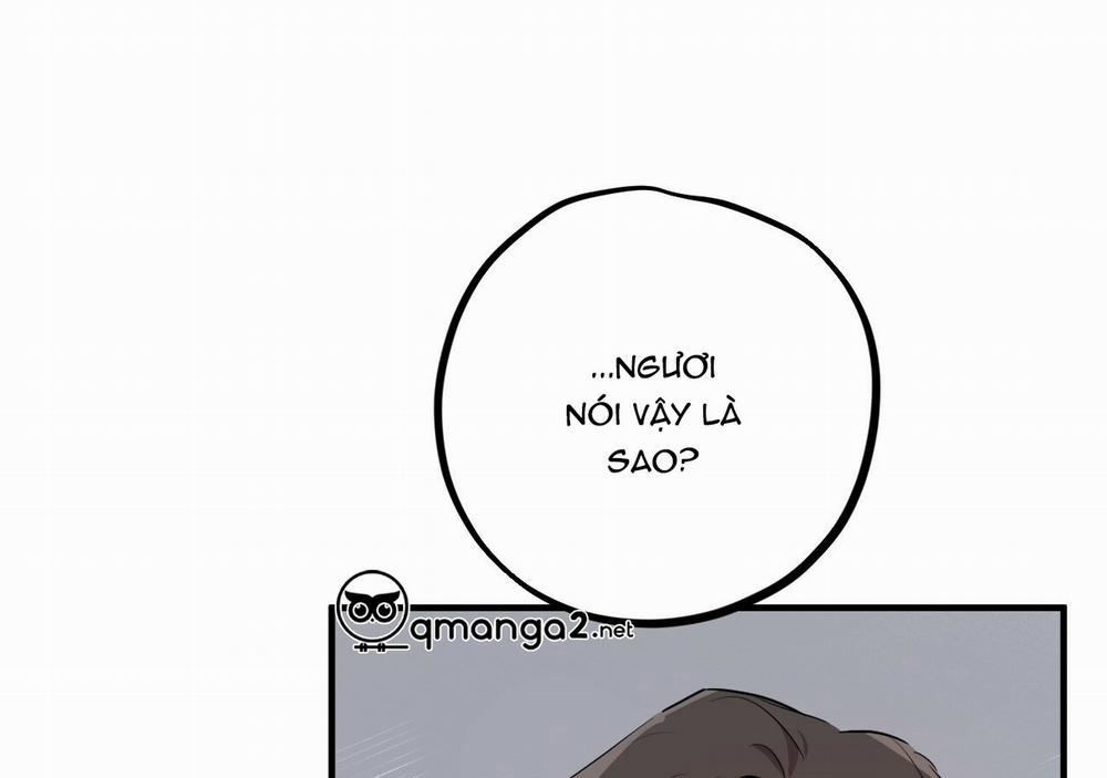 Những Chú Thỏ Của Hapypy 21 trang 252