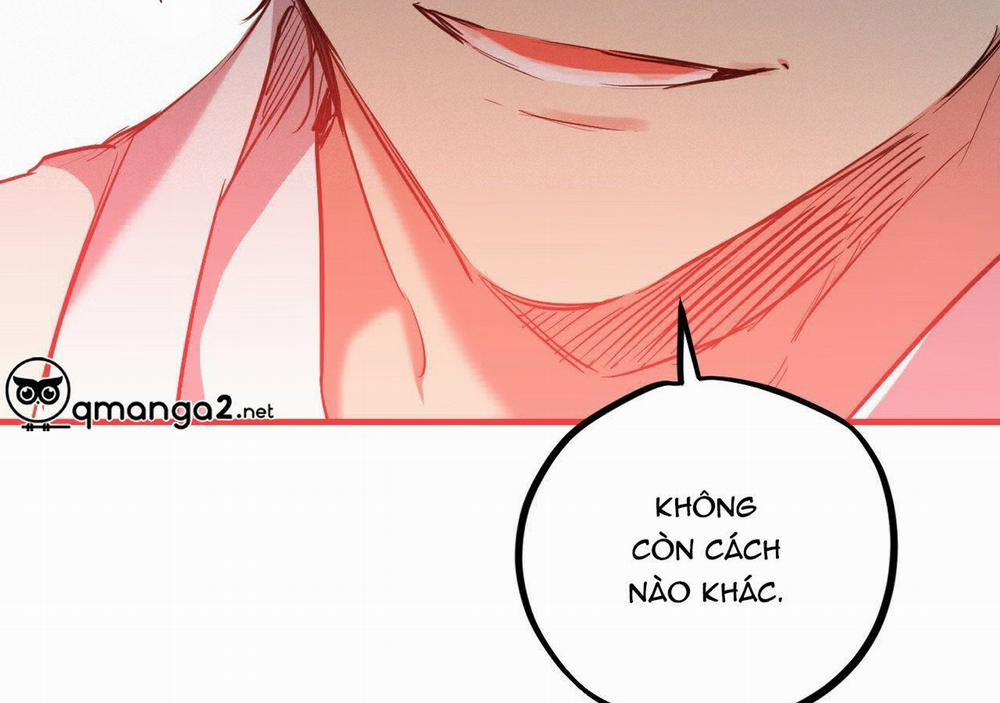 Những Chú Thỏ Của Hapypy 21 trang 264