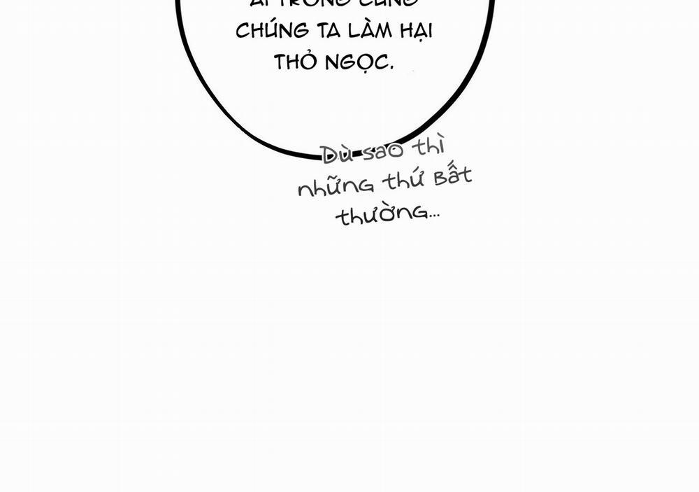 Những Chú Thỏ Của Hapypy 21 trang 52