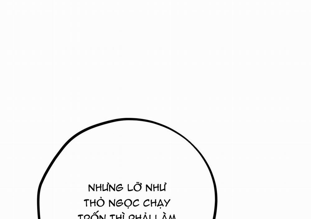 Những Chú Thỏ Của Hapypy 21 trang 67