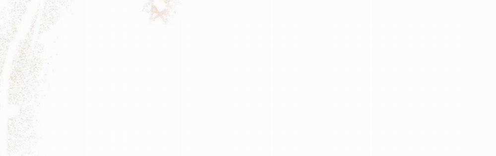 Những Chú Thỏ Của Hapypy 22 trang 168