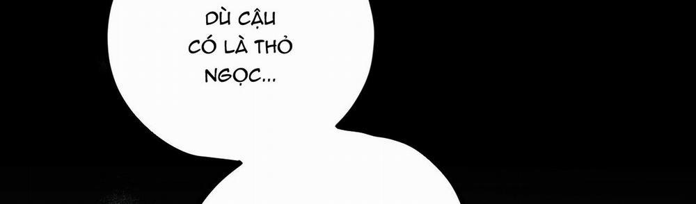 Những Chú Thỏ Của Hapypy 22 trang 294