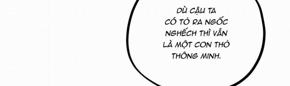 Những Chú Thỏ Của Hapypy 22 trang 321