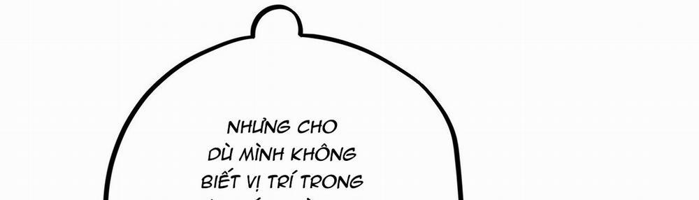 Những Chú Thỏ Của Hapypy 22 trang 391