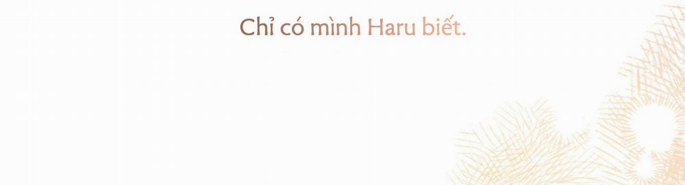 Những Chú Thỏ Của Hapypy 22 trang 439