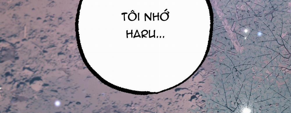 Những Chú Thỏ Của Hapypy 22 trang 468