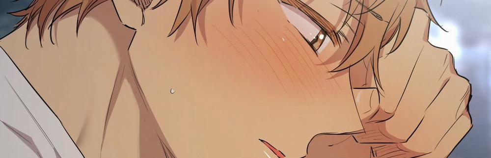 Những Chú Thỏ Của Hapypy 22 trang 483