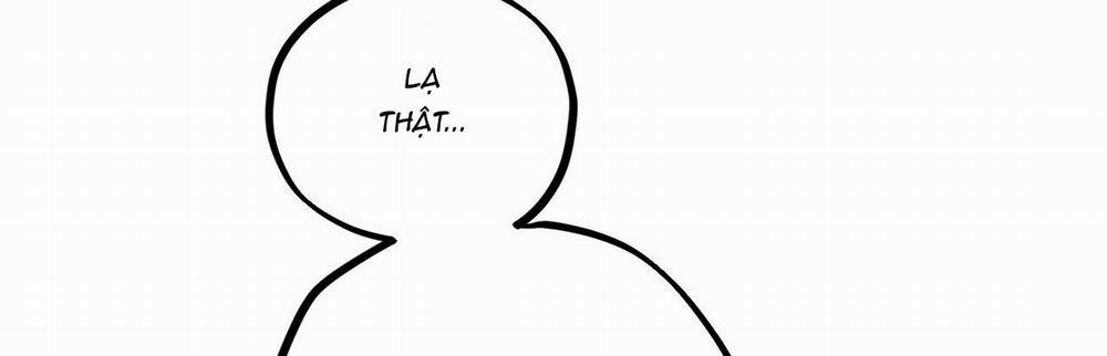 Những Chú Thỏ Của Hapypy 22 trang 486