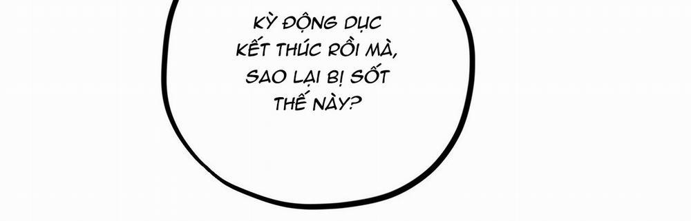 Những Chú Thỏ Của Hapypy 22 trang 487