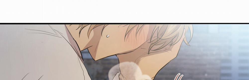 Những Chú Thỏ Của Hapypy 22 trang 489