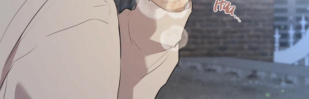 Những Chú Thỏ Của Hapypy 22 trang 490