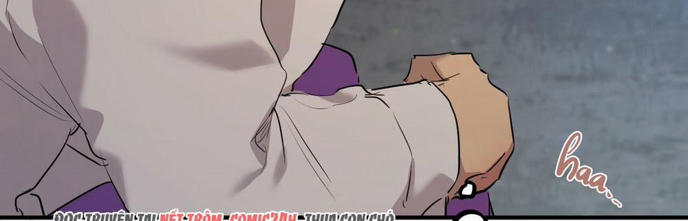 Những Chú Thỏ Của Hapypy 22 trang 491