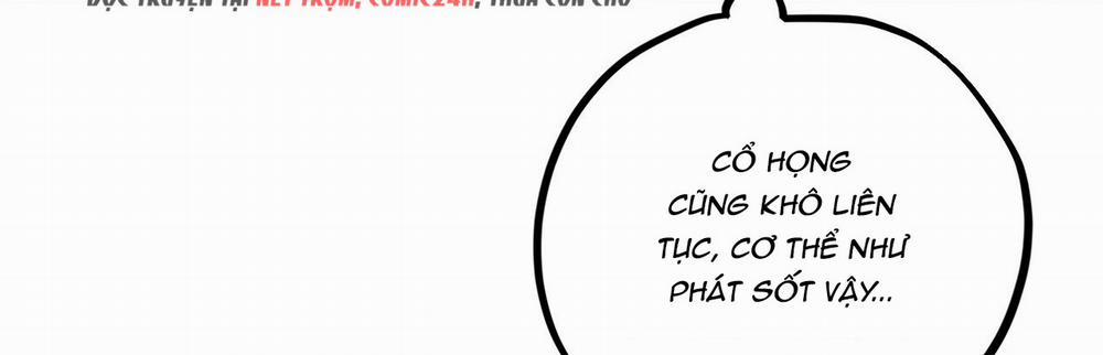 Những Chú Thỏ Của Hapypy 22 trang 492