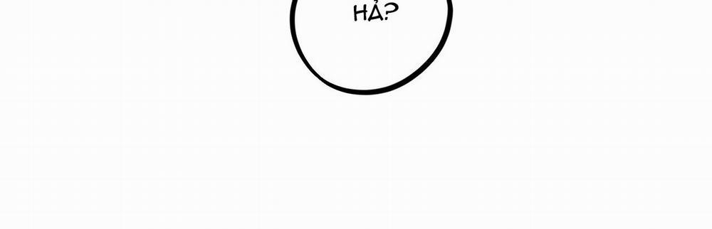 Những Chú Thỏ Của Hapypy 22 trang 497