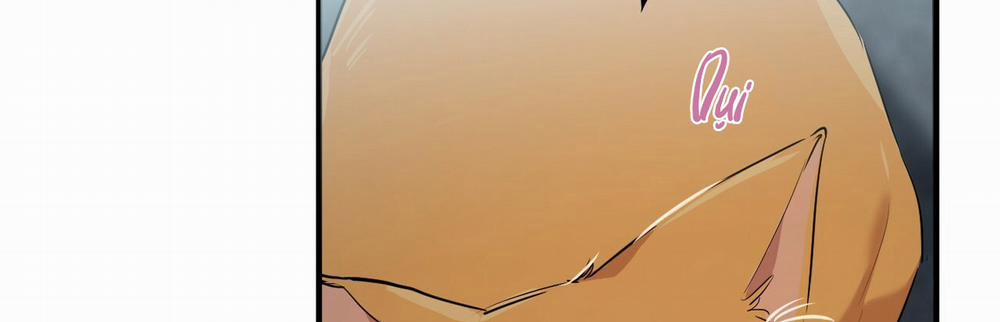 Những Chú Thỏ Của Hapypy 22 trang 500