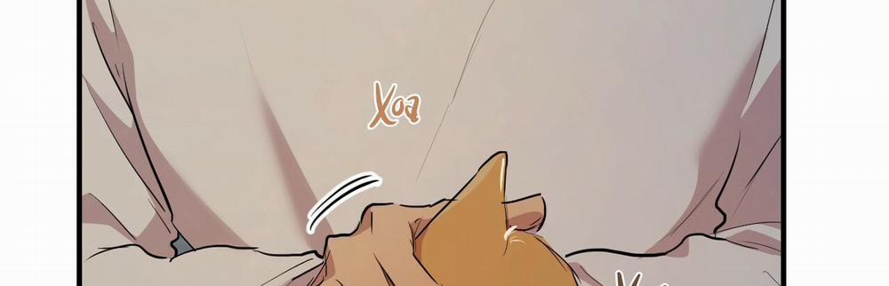 Những Chú Thỏ Của Hapypy 22 trang 507