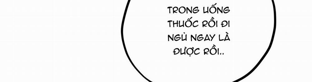 Những Chú Thỏ Của Hapypy 22 trang 517