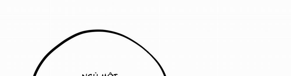 Những Chú Thỏ Của Hapypy 22 trang 520