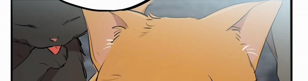 Những Chú Thỏ Của Hapypy 22 trang 522