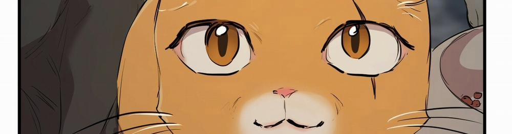 Những Chú Thỏ Của Hapypy 22 trang 523