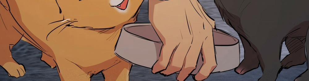 Những Chú Thỏ Của Hapypy 22 trang 532