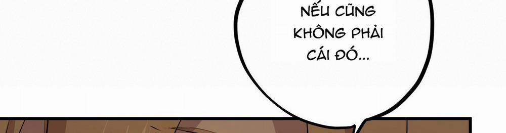 Những Chú Thỏ Của Hapypy 22 trang 536