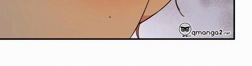 Những Chú Thỏ Của Hapypy 22 trang 539