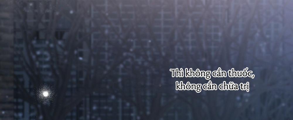 Những Chú Thỏ Của Hapypy 22 trang 558