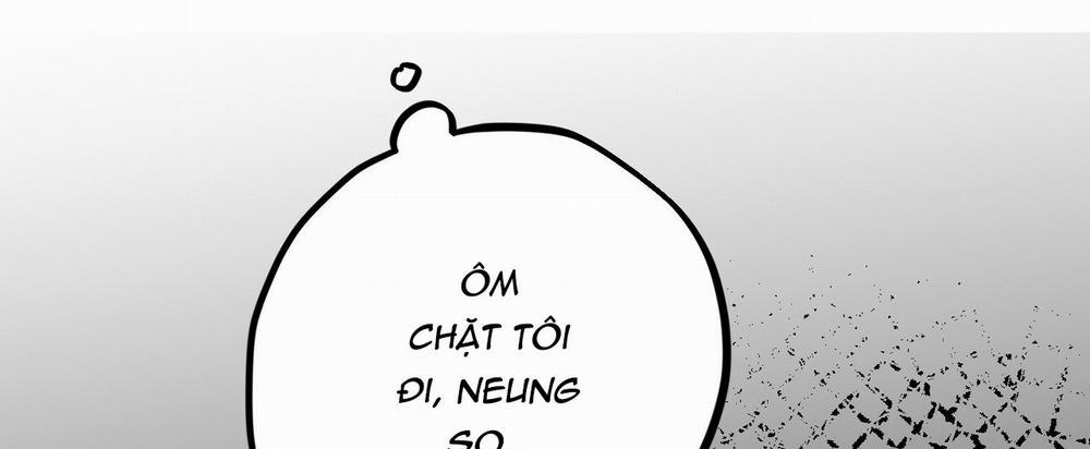 Những Chú Thỏ Của Hapypy 22 trang 562