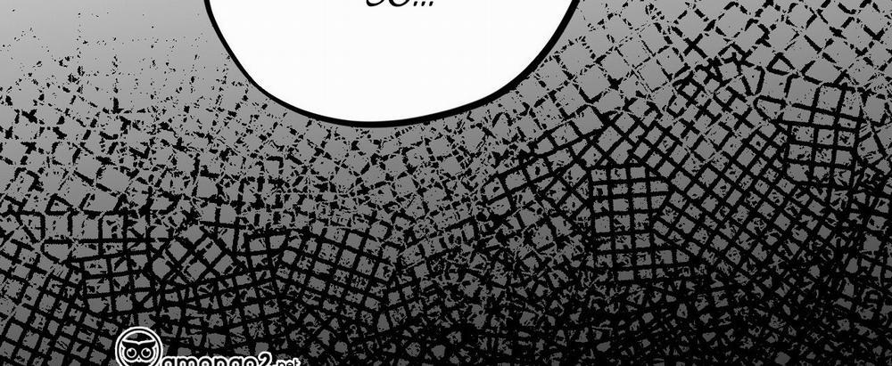 Những Chú Thỏ Của Hapypy 22 trang 563