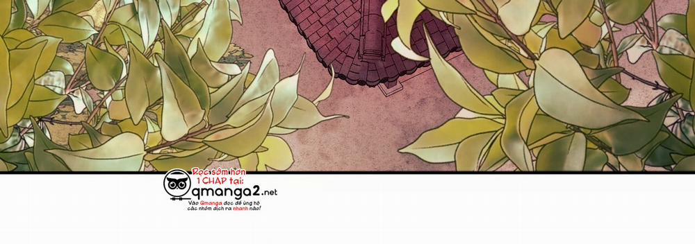 Những Chú Thỏ Của Hapypy 22 trang 7