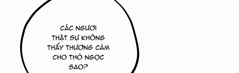 Những Chú Thỏ Của Hapypy 22 trang 84