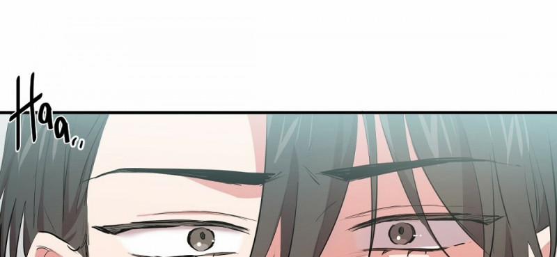 Những Chú Thỏ Của Hapypy 23.5 trang 0