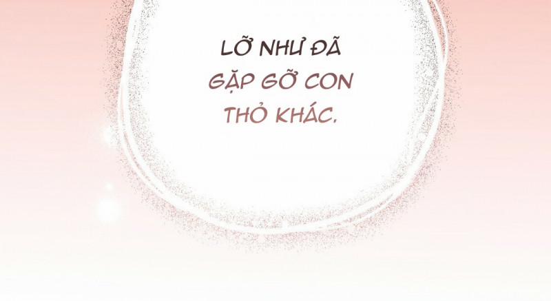 Những Chú Thỏ Của Hapypy 23.5 trang 10